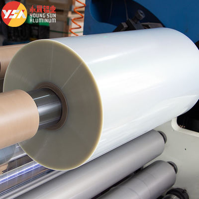 Fogli di imballaggio laminato in poliestere di plastica PET+PE trasparente